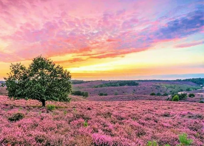 Stylish In For 6 Casa vacanze *