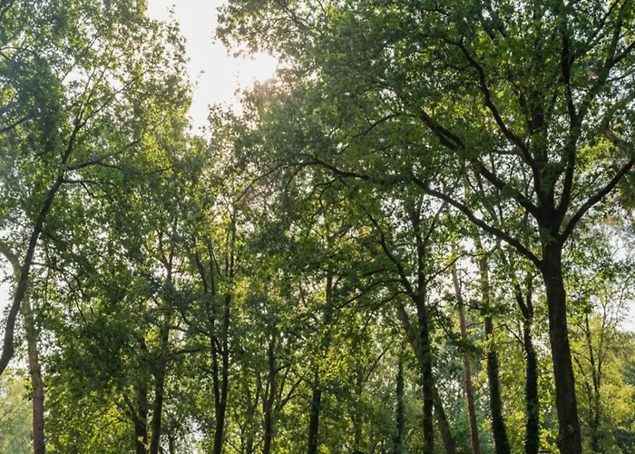 Stylish In For 6 Casa vacanze Hoenderloo