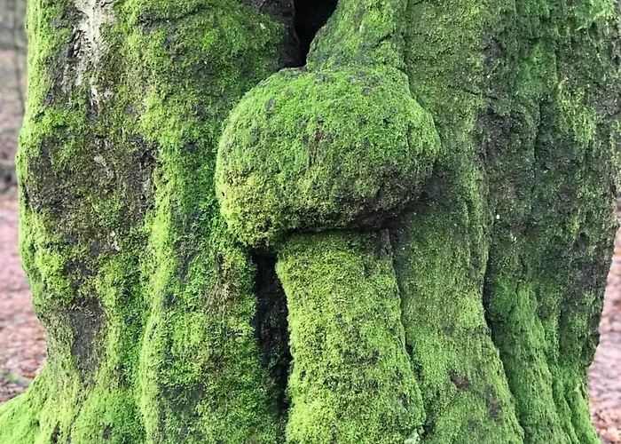 Casa vacanze Stylish In For 6 *